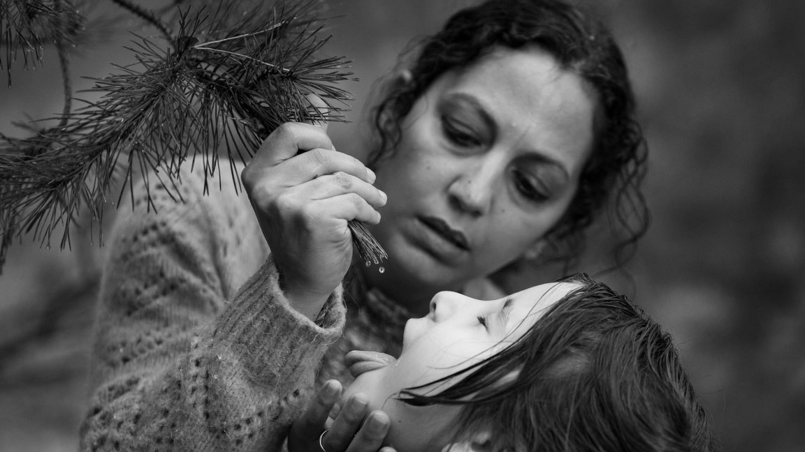 ЗЕЛЕНА ГРАНИЦА