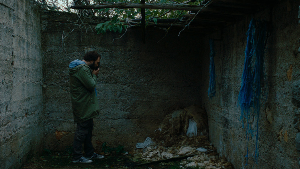 КАК ТАКА ВСИЧКО СТАНА ЗЕЛЕНО?