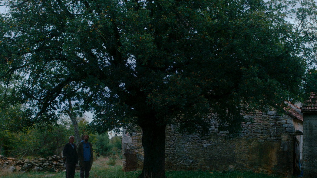 КАК ТАКА ВСИЧКО СТАНА ЗЕЛЕНО?