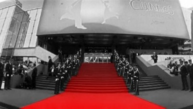 20 ИЗБРАНИ МЕЖДУНАРОДНИ ФЕСТИВАЛА