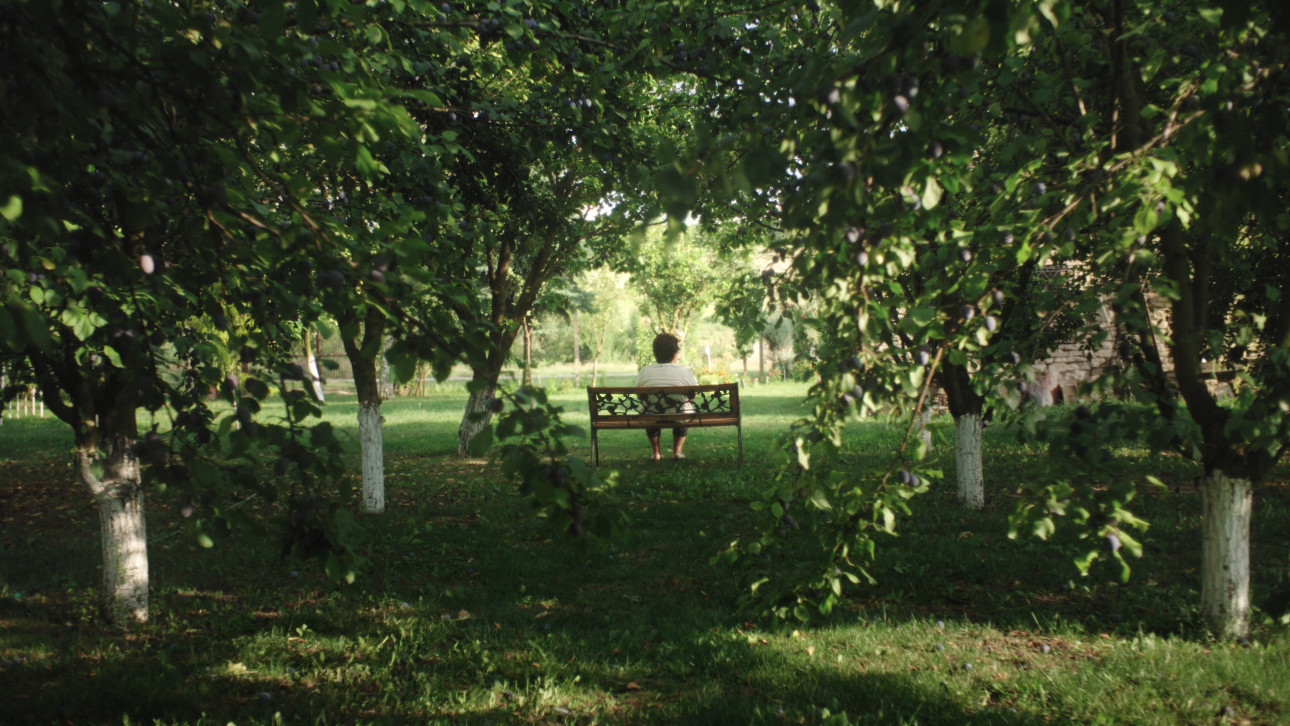 НЯМА КАК ДА СИ КАЖЕМ СБОГОМ