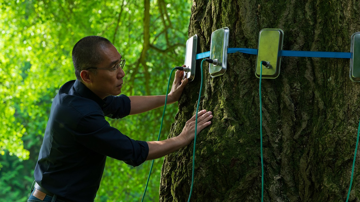 СФФ Природа – с „Мълчаливият приятел“ на Илдико Енеди, номиниран за „Златен лъв“, и „Магията на гората“ на Венсан Мюние