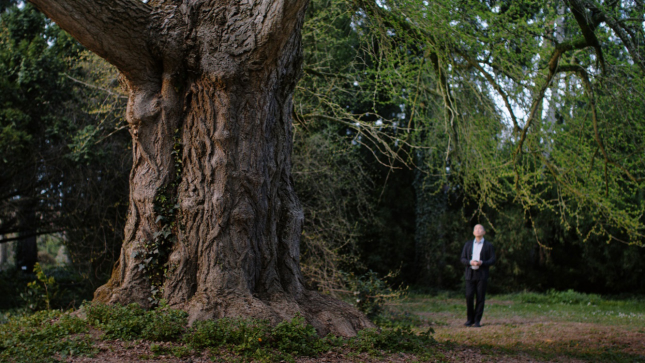 СФФ Природа – с „Мълчаливият приятел“ на Илдико Енеди, номиниран за „Златен лъв“, и „Магията на гората“ на Венсан Мюние