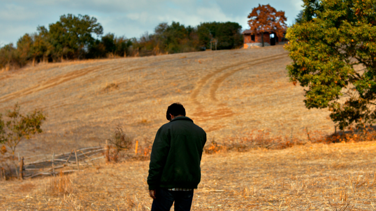 ДИВАТА КРУША