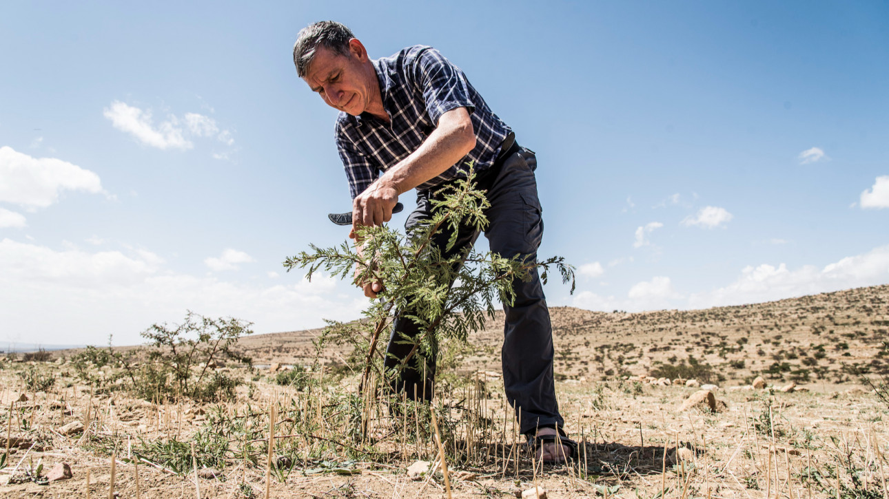 ПОВЕЛИТЕЛЯТ НА ГОРИТЕ