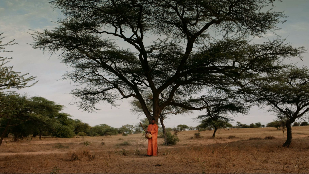 ПОВЕЛИТЕЛЯТ НА ГОРИТЕ