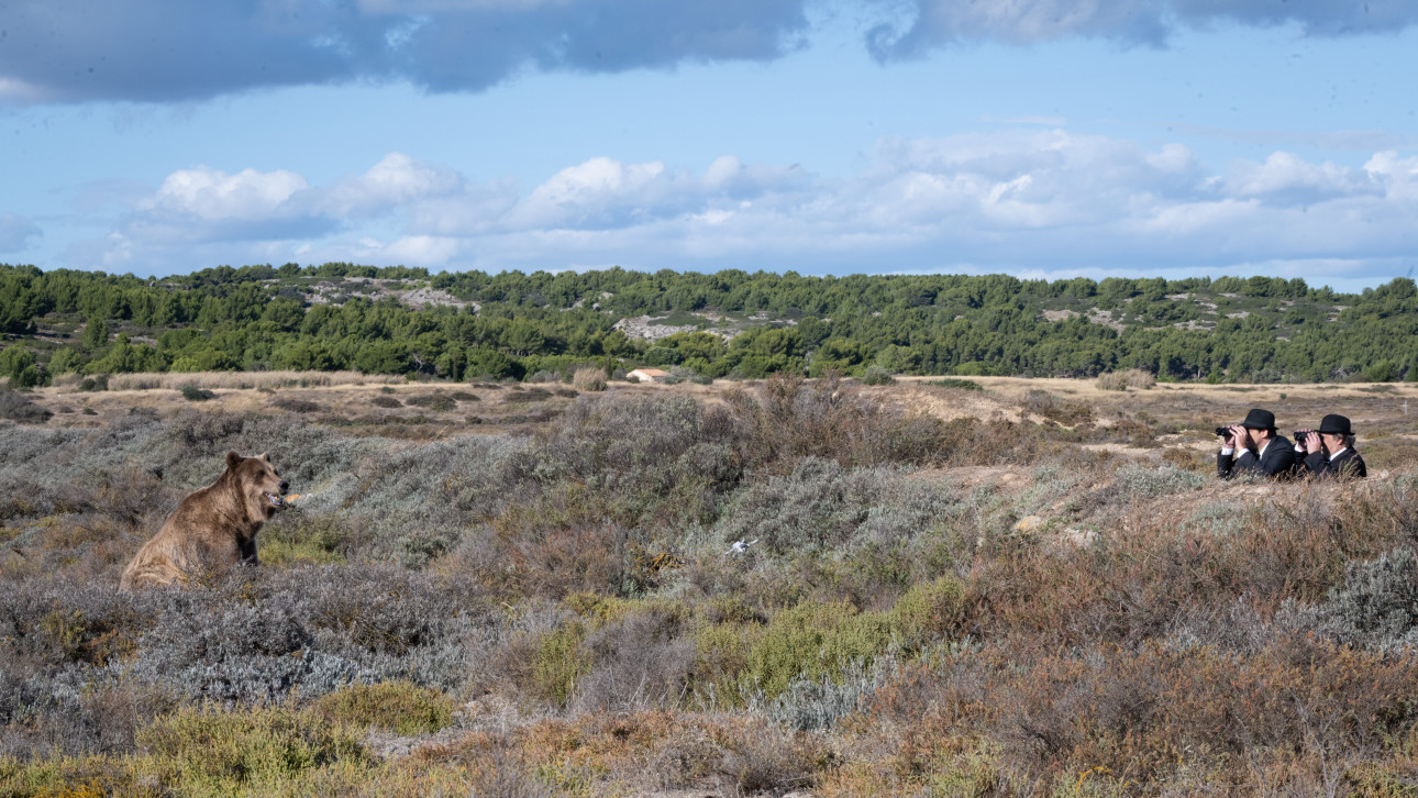 ЧОВЕКЪТ, КОЙТО ВИДЯ МЕЧКА