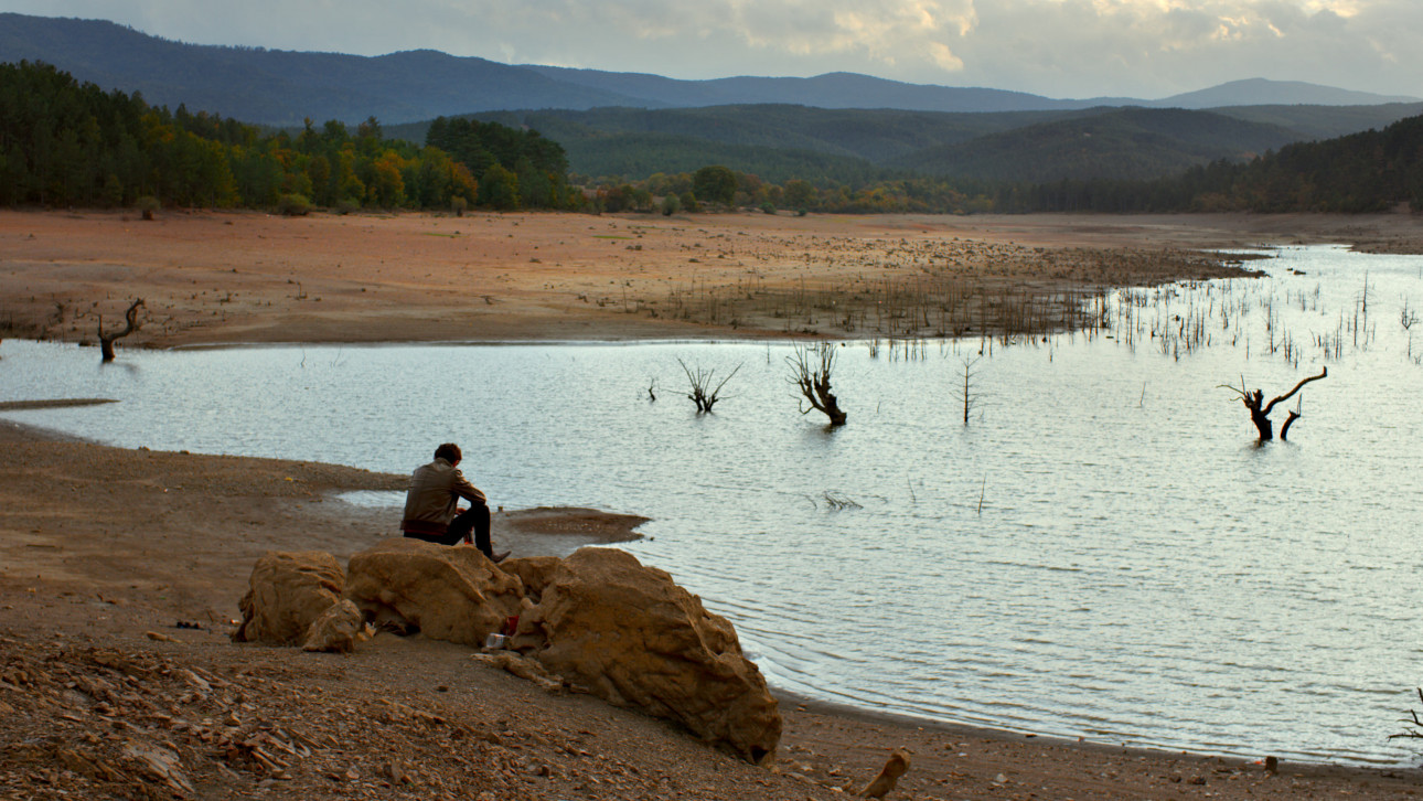 ДИВАТА КРУША