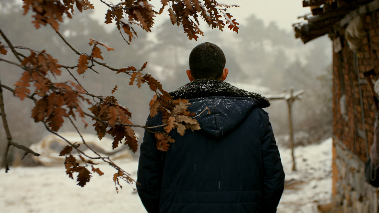 ДИВАТА КРУША