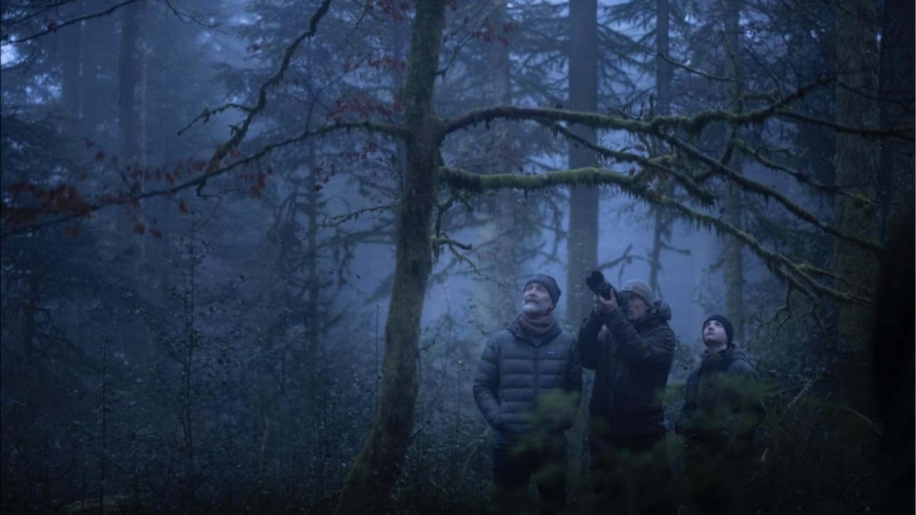 СФФ Природа – с „Мълчаливият приятел“ на Илдико Енеди, номиниран за „Златен лъв“, и „Магията на гората“ на Венсан Мюние